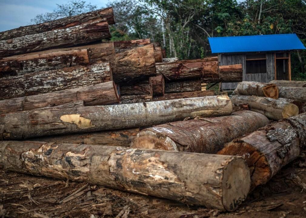 Wood